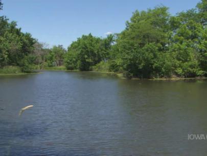 Image of an oxbow lake.