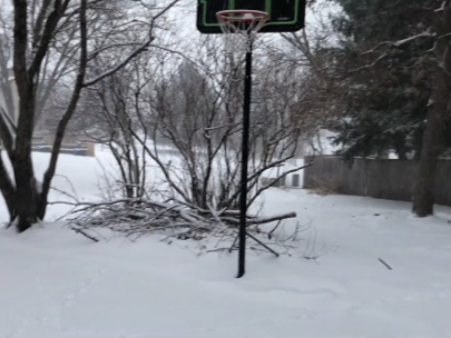 Image of snowy yard.