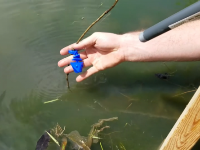 Wilderness Survival - Spearing Fish in Water - Refraction