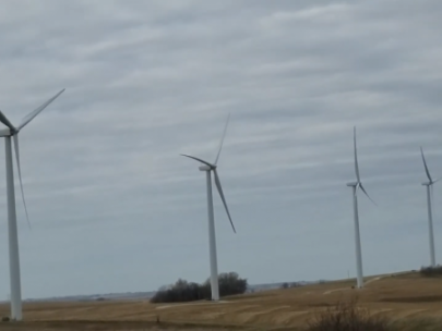 Image of wind turbines in a field.