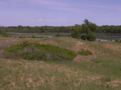 Image of the Big Sand Mound conservation area.