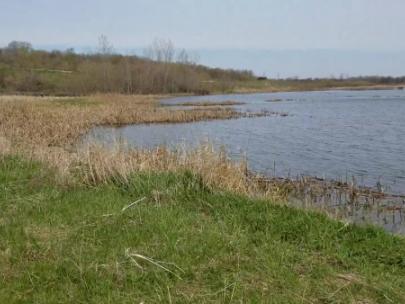 Image of a flooded field.