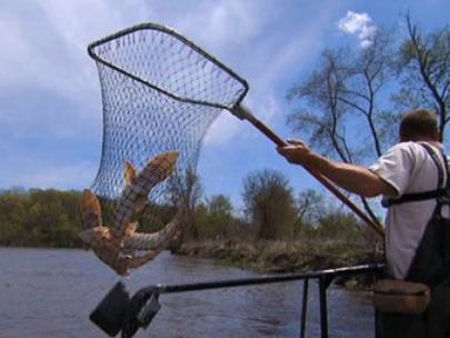 Image of man with sturgeon in fishing net.