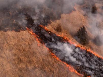 Image of a controlled fire in the Loess Hills.