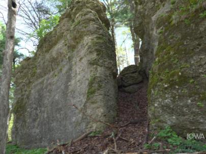 Image of a limestone rock face.