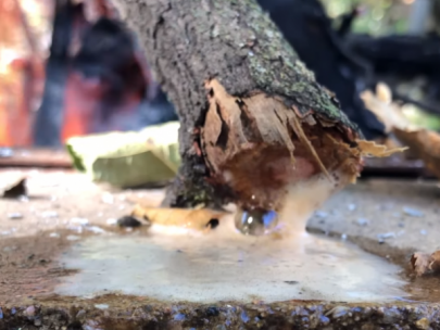 Image of a log burning in fire and liquid coming out of it.