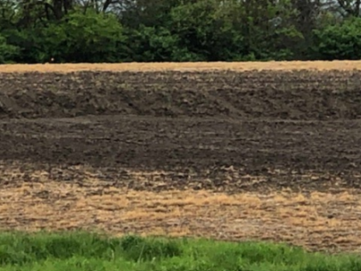 Image of newly built field terrace.