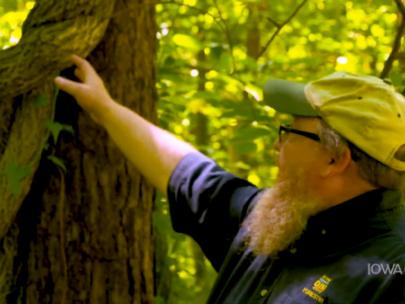 Image of man gesturing towards a tree.