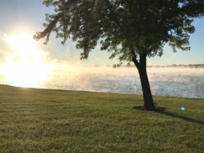 Image of mist on a lake surface.