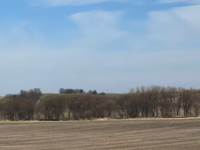 Image of paha hills in Iowa field.