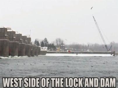 Birds on the west side of the lock and dam.