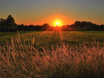 Sunset over a field