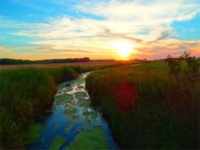 Stream running through a field.