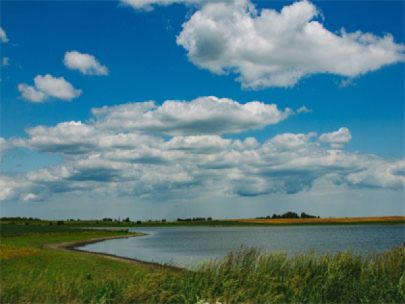 A farm pond.