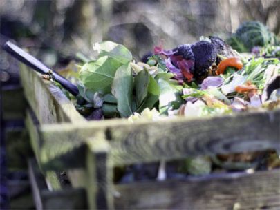 A compost pile.