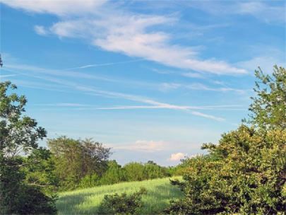 Contrails in the sky.