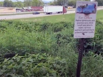 Rain garden information sign near highway.