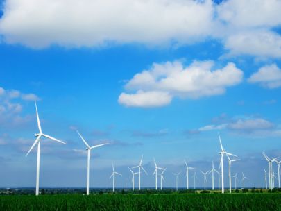 Wind turbines in a field under a blue sky with white, pillowy clouds.