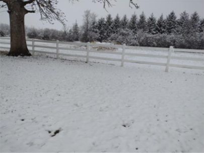 A snowy landscape with a white fence. There are snow-covered trees in the background.