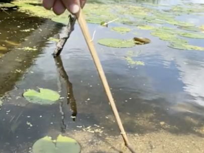 stick being inserting under water