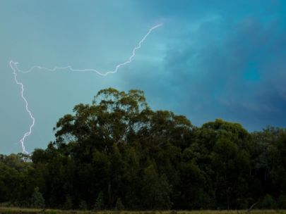 lightning over trees