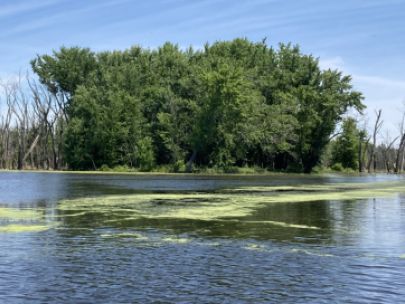 Area along the shores of the Mississippi River with complete loss of trees