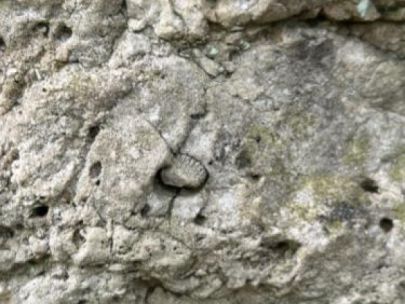 limestone outcroppings showing ocean fossils