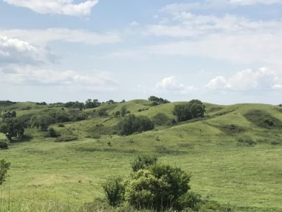 Cat Step Hills in Loess Hills