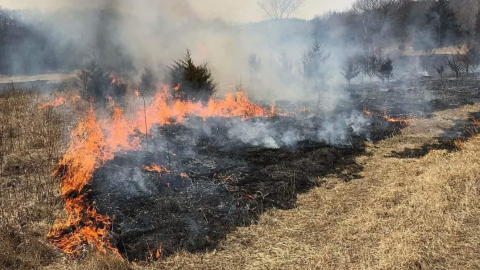 Image of a prairie being burned.