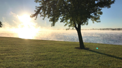 Image of mist on a lake surface.